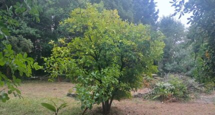 Villeneuve-Loubet Terrain à bâtir - 2322441-10316annonce520251030cTXqh.jpeg Maisons Open