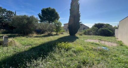 Montpeyroux Terrain à bâtir - 2323687-11017annonce2202510315mP4p.jpeg Maisons Open