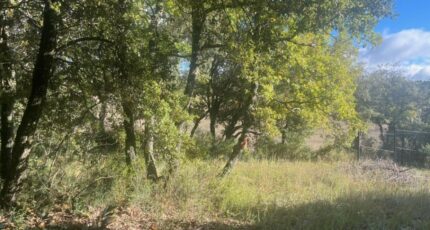 Baudinard-sur-Verdon Terrain à bâtir - 2324599-10122annonce120251031AQDx5.jpeg Maisons Open