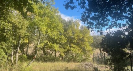 Baudinard-sur-Verdon Terrain à bâtir - 2324599-10122annonce2202510315Tity.jpeg Maisons Open