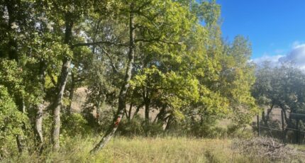 Baudinard-sur-Verdon Terrain à bâtir - 2324599-10122annonce320251031y9TdF.jpeg Maisons Open