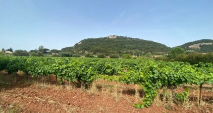 Gonfaron Terrain à bâtir - 2324748-10122annonce220251031TsSJd.jpeg Maisons Open