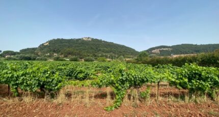 Gonfaron Terrain à bâtir - 2324748-10122annonce320251031uPLeD.jpeg Maisons Open