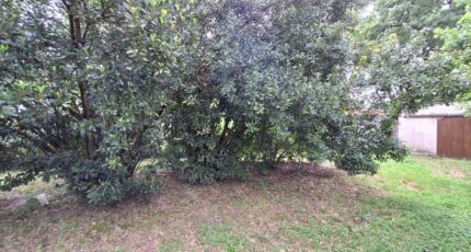 Plaisance-du-Touch Terrain à bâtir - 2324845-9555annonce120251031OEePL.jpeg Maisons Open