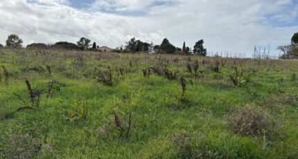 Bazus Terrain à bâtir - 2324885-11356annonce120251031eu3Xn.jpeg Maisons Open