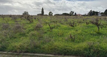 Bazus Terrain à bâtir - 2324885-11356annonce320251031GlMyU.jpeg Maisons Open