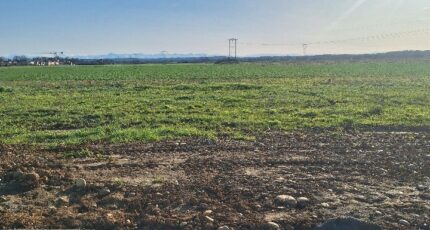 Castelsarrasin Terrain à bâtir - 2325852-3575annonce220251102Wuuxy.jpeg Maisons Open