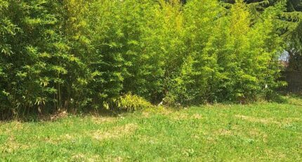 Cologne Terrain à bâtir - 2325882-3575annonce220251102U6ayP.jpeg Maisons Open