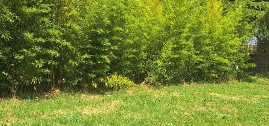 Terrain à bâtir à Cologne, Occitanie