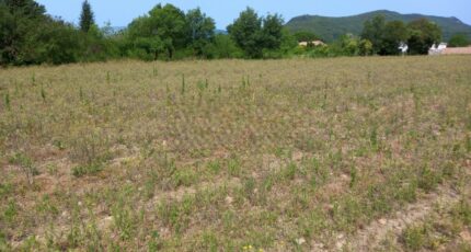 Hérépian Terrain à bâtir - 2327452-11018annonce420251104JrdpP.jpeg Maisons Open