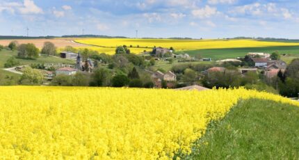 Montlouis-sur-Loire Terrain à bâtir - 2255856-9897annonce120250123OkbA3.jpeg Maisons Open