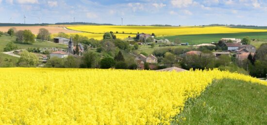Terrain à bâtir à Montlouis-sur-Loire, Centre-Val de Loire