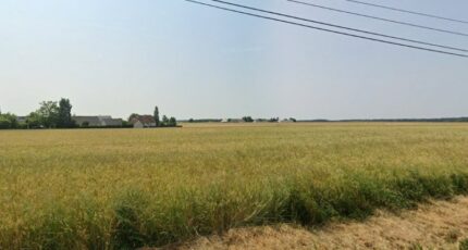 Saint-Laurent-en-Gâtines Terrain à bâtir - 2255858-9897annonce120250113N40Tu.jpeg Maisons Open