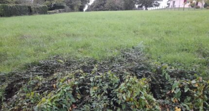 Verneuil-sur-Vienne Terrain à bâtir - 2292129-3291annonce1202510033gTvI.jpeg Maisons Open