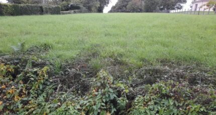 Verneuil-sur-Vienne Terrain à bâtir - 2292129-3291annonce220251003QNPKt.jpeg Maisons Open