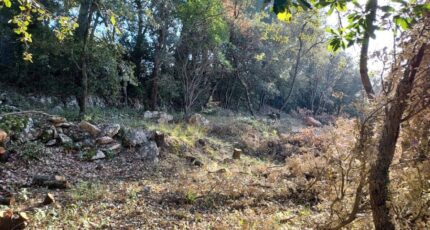 Tourves Terrain à bâtir - 2271825-11137annonce120250117WtWwo.jpeg Maisons Open