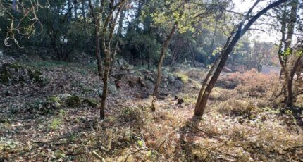 Tourves Terrain à bâtir - 2271825-11137annonce420250117uTzwN.jpeg Maisons Open