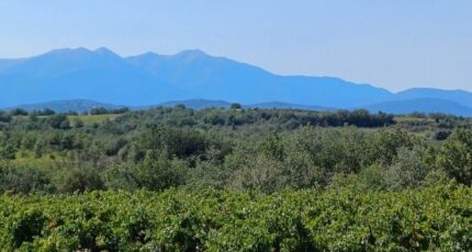 Tresserre Terrain à bâtir - 2327878-4671annonce120251104S5bs4.jpeg Maisons Open