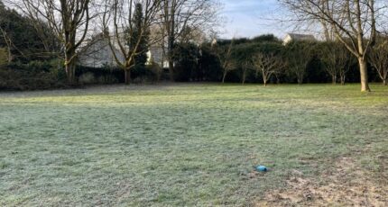 Baron Terrain à bâtir - 2294006-1691annonce120250218853SC.jpeg Maisons Open