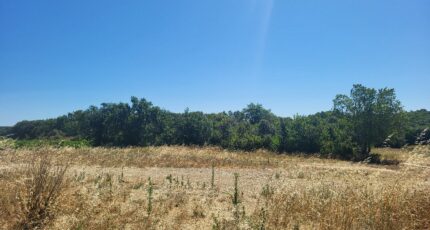 Montagnac Terrain à bâtir - 2328913-11556annonce120251105Z1dTd.jpeg Maisons Open