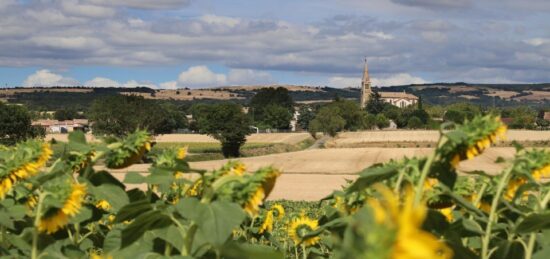 Terrain à bâtir à Peyrens, Occitanie