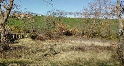 Ajac Terrain à bâtir - 2328984-10986annonce120251105s3FxP.jpeg Maisons Open