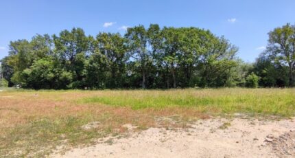 Brissac-Quincé Terrain à bâtir - 2329319-10544annonce120251105Cqbzh.jpeg Maisons Open