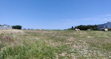 Jarzé Terrain à bâtir - 2329329-10544annonce120251105sFgld.jpeg Maisons Open