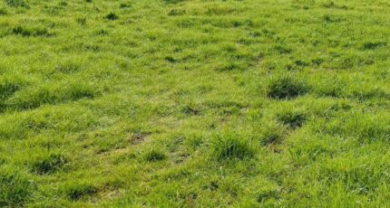 Pignans Terrain à bâtir - 2327119-9707annonce120251104fedUQ.jpeg Maisons Open