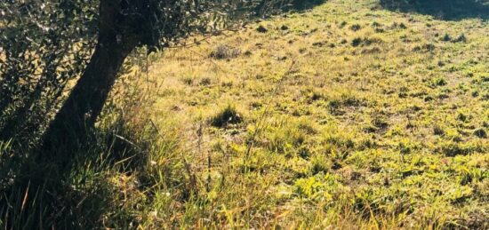 Terrain à bâtir à Pignans, Provence-Alpes-Côte d'Azur