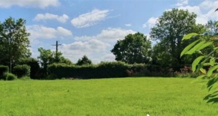 Pézenas Terrain à bâtir - 2260531-10896annonce120250904LGhql.jpeg Maisons Open