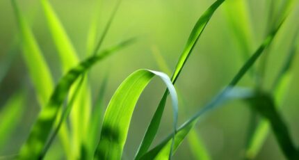 Bourg-Achard Terrain à bâtir - 2330191-1703annonce120251106iWQqI.jpeg Maisons Open