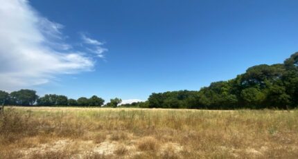 Vérargues Terrain à bâtir - 2330169-3243annonce120251106Qp0ca.jpeg Maisons Open