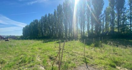 Mérignies Terrain à bâtir - 2295608-11655annonce1202510068SlnI.jpeg Maisons Open