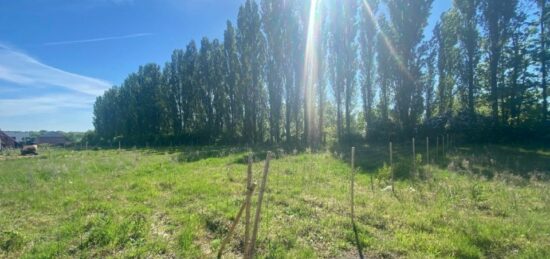 Terrain à bâtir à Mérignies, Hauts-de-France