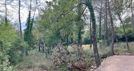 Tourrettes Terrain à bâtir - 2302539-10140annonce220251012XEuc5.jpeg Maisons Open