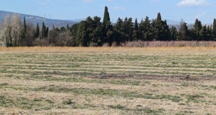 Millas Terrain à bâtir - 2267919-4671annonce120250911MXaTk.jpeg Maisons Open