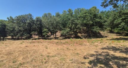 Taradeau Terrain à bâtir - 2337636-10152annonce12025063068PrT.jpeg Maisons Open