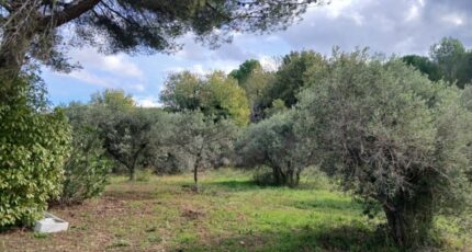 Ventabren Terrain à bâtir - 2338682-11680annonce420251114w4uzA.jpeg Maisons Open