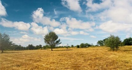 Villeneuve-Minervois Terrain à bâtir - 2339826-10986annonce1202507251v6Ew.jpeg Maisons Open