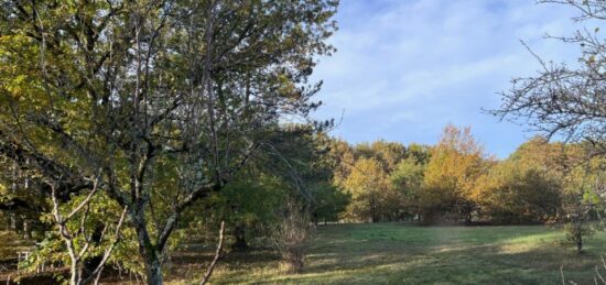 Terrain à bâtir à Lapeyrouse-Fossat, Occitanie