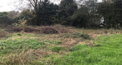 Saint-Hilaire-de-Riez Terrain à bâtir - 2351905-11004annonce120251128InruT.jpeg Maisons Open