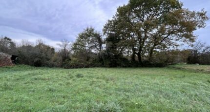 Chaumes-en-Retz Terrain à bâtir - 2352435-11110annonce220251128HgJ7T.jpeg Maisons Open