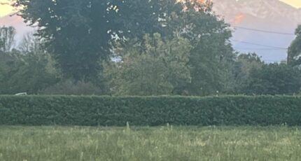 Lespouey Terrain à bâtir - 2319327-902annonce3202510270iqIS.jpeg Maisons Open