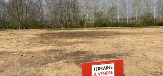 Terrain à bâtir à Camarsac, Nouvelle-Aquitaine
