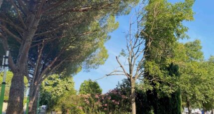 Juvignac Terrain à bâtir - 2322949-11017annonce420250620MudTS.jpeg Maisons Open