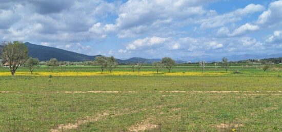 Terrain à bâtir à Les Mées, Provence-Alpes-Côte d'Azur