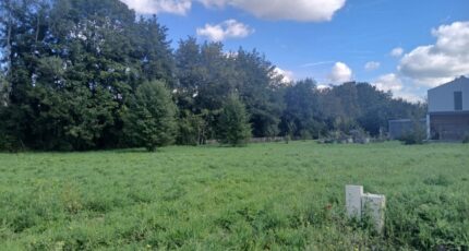 Prignac-et-Marcamps Terrain à bâtir - 2353316-11193annonce120251201kpT6f.jpeg Maisons Open