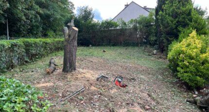 Villebon-sur-Yvette Terrain à bâtir - 2317952-5365annonce120251025MDcxk.jpeg Maisons Open