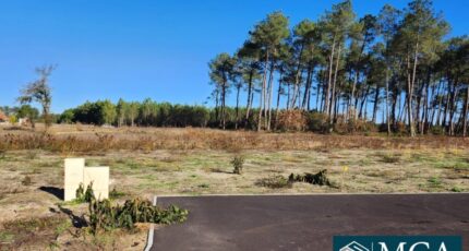 Pissos Terrain à bâtir - 2353394-5828annonce120251022CRGuX.jpeg Maisons Open